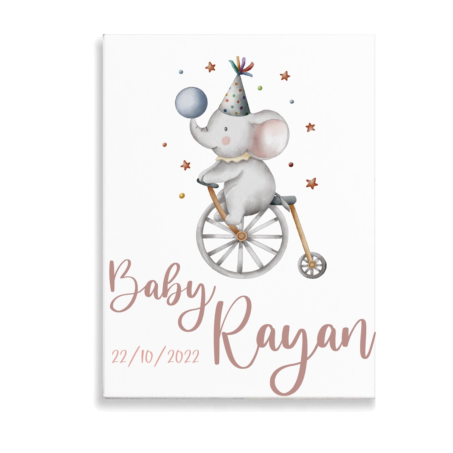 Elephant Circus Canvas