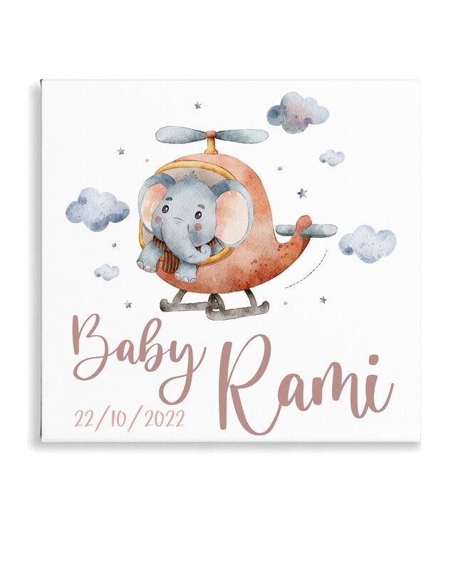 Elephant Plane Canvas