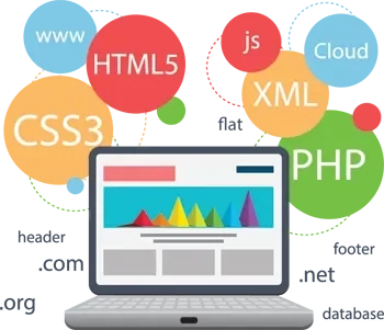 Web Application