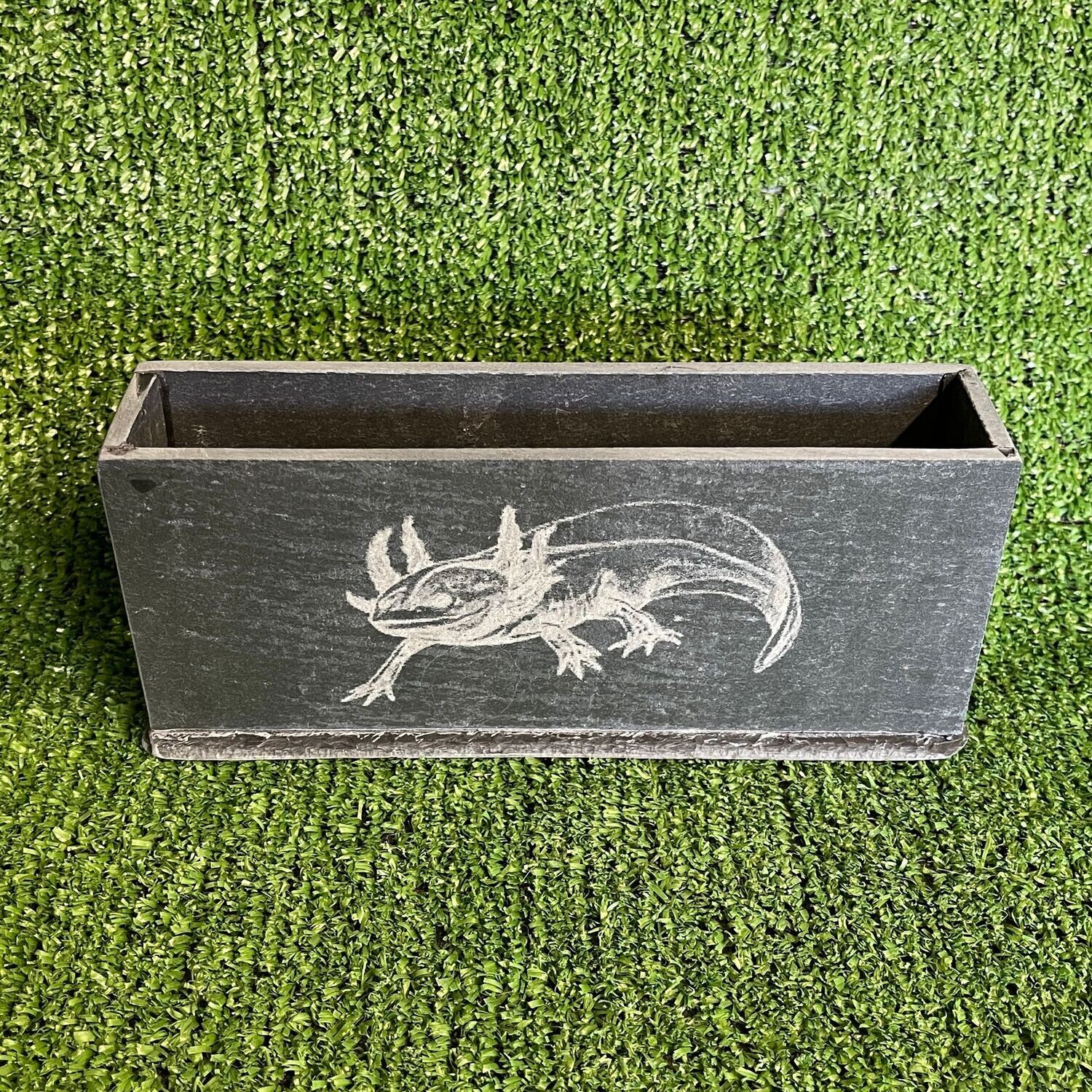 Axolotl Aquarium Bubble Wall Natural slate.