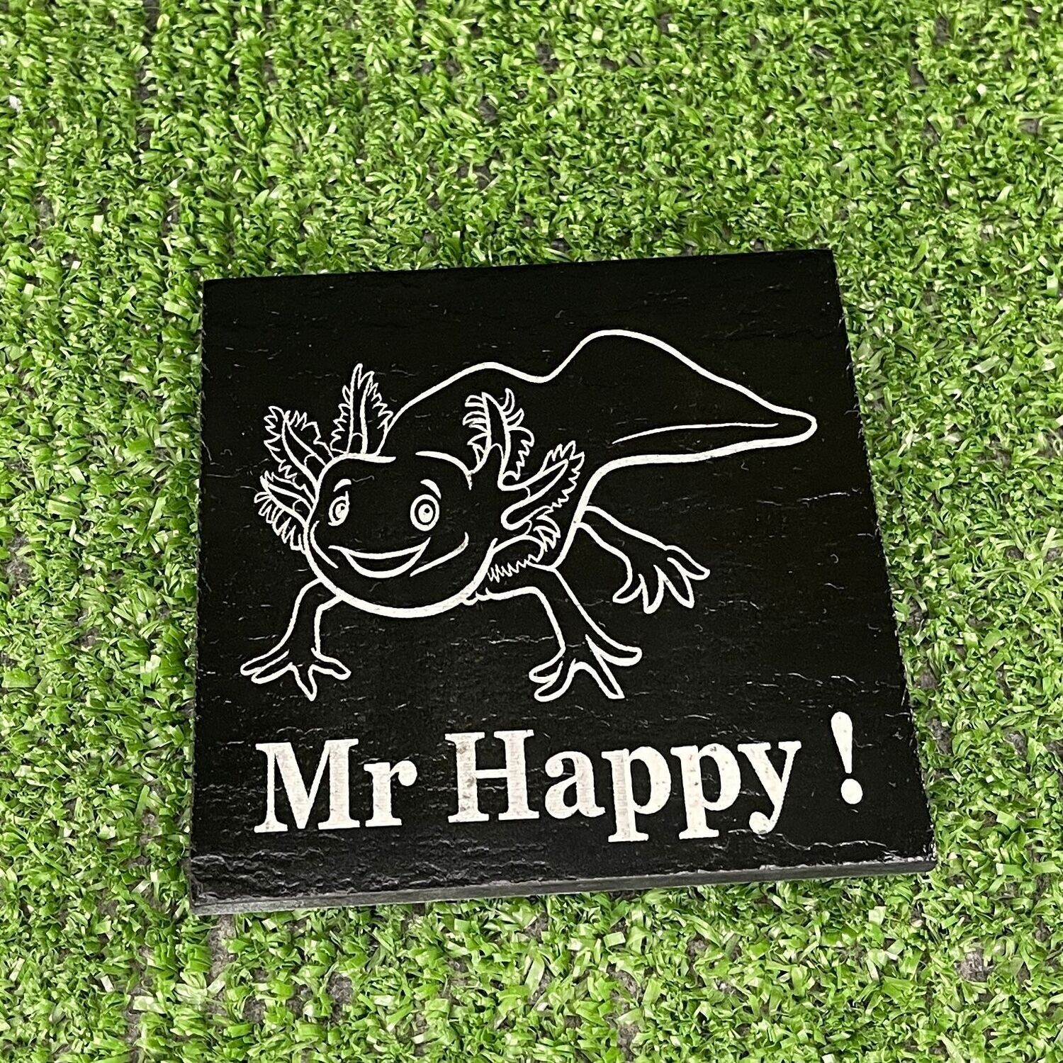 Mr Happy Axolotl Coaster