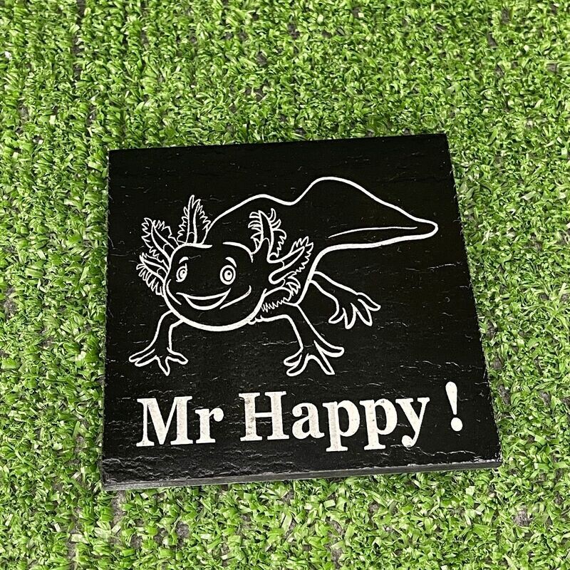 Mr Happy Axolotl Coaster