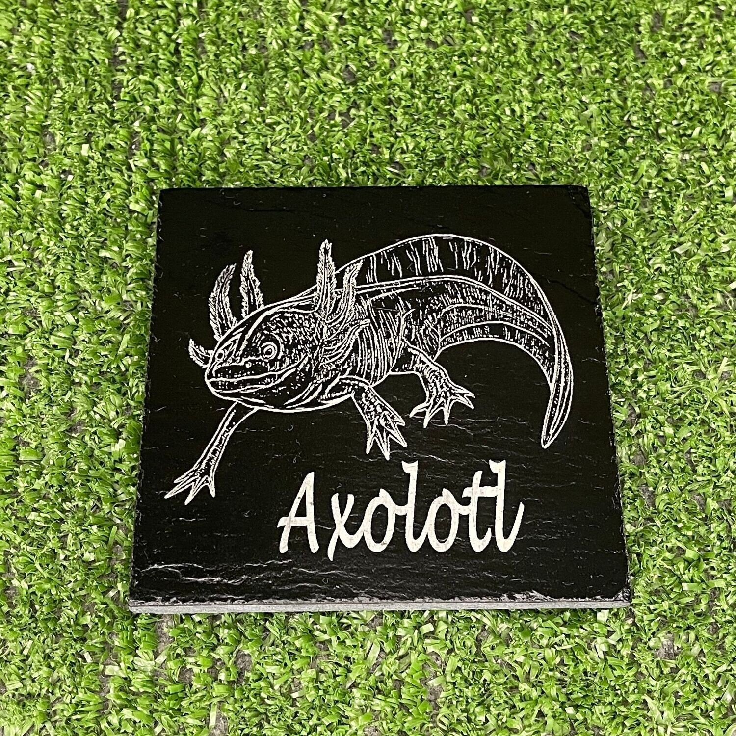 Axolotl Slate Coaster