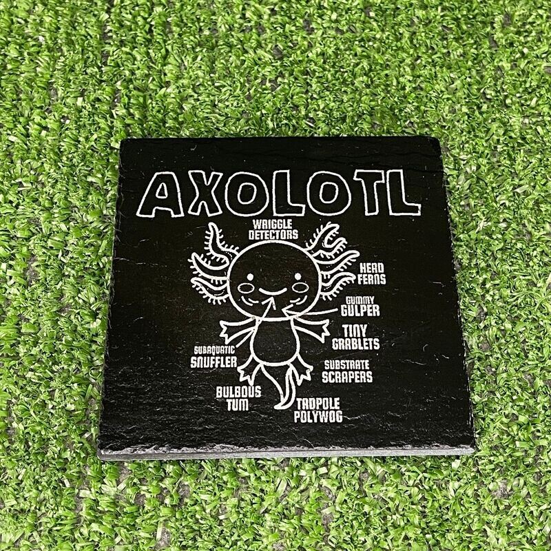 Axolotl Anatomy Coaster