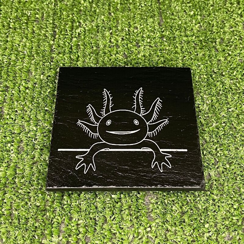 Axolotl on the Fence Coaster