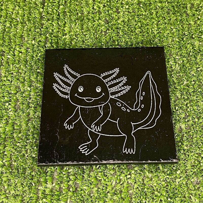 Axolotl Coaster