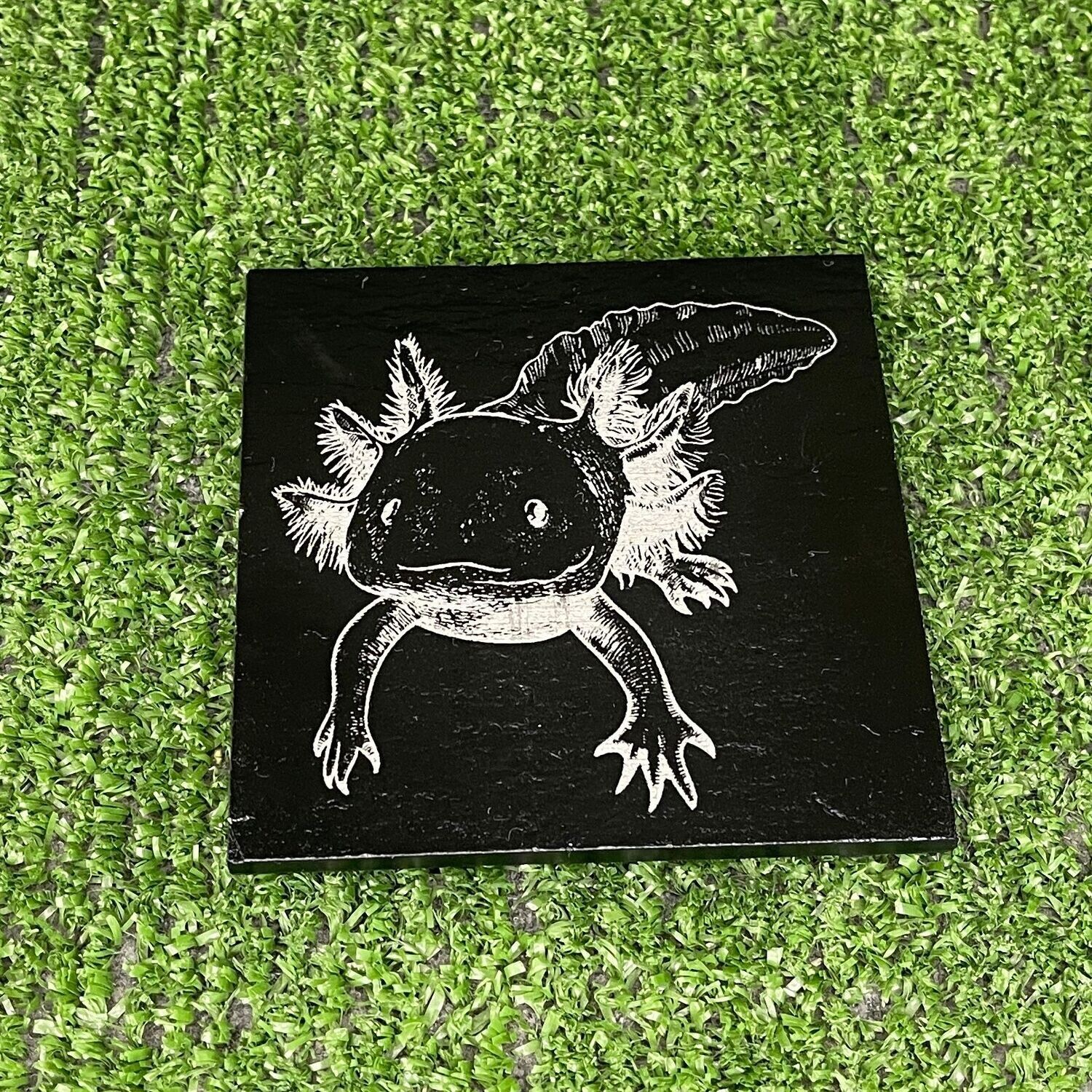 Axolotl Coaster