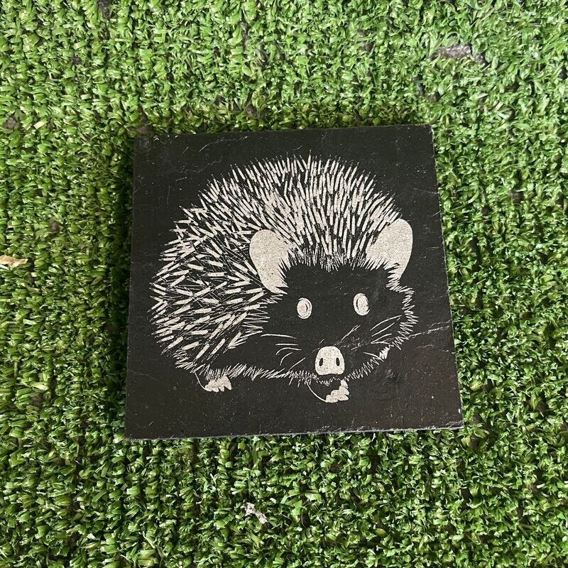 Hedgehog Slate Coasters