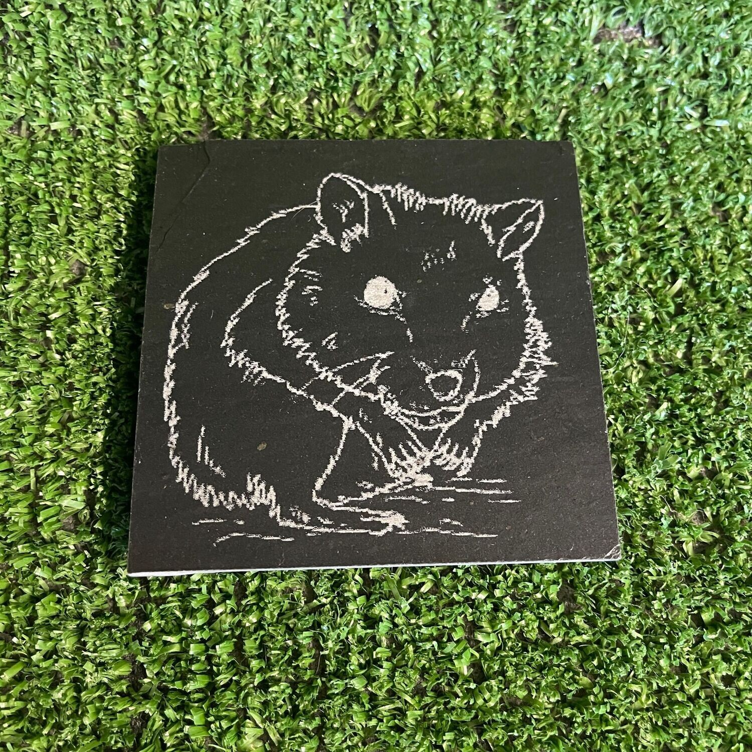 Hamster Coaster