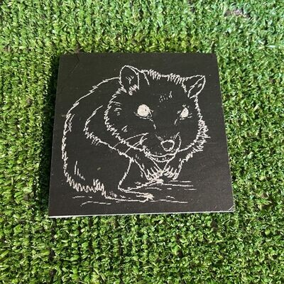 Hamster Coaster Hamster Coaster