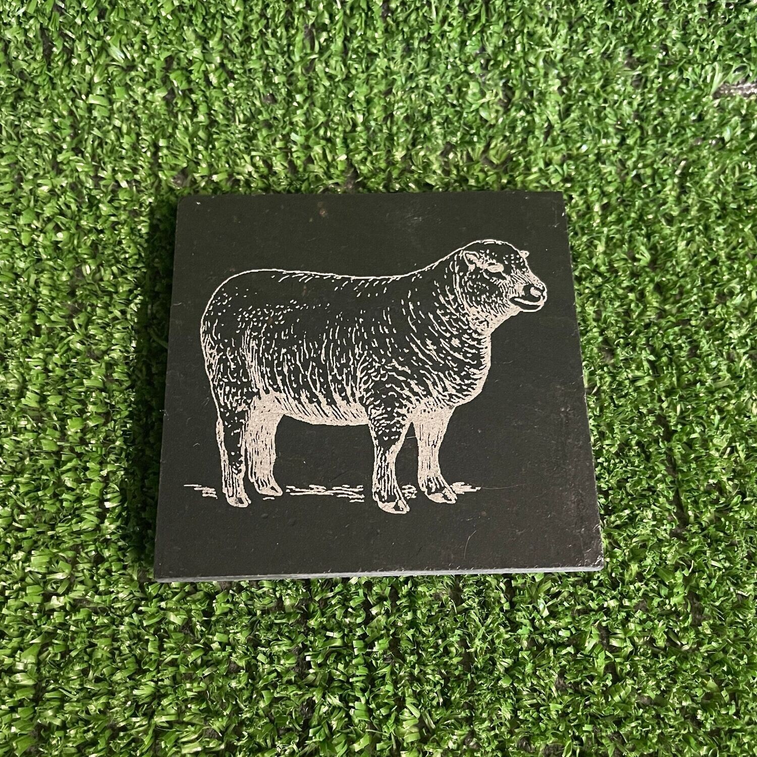 Sheep Slate Coaster