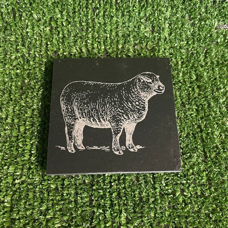 Sheep Slate Coaster