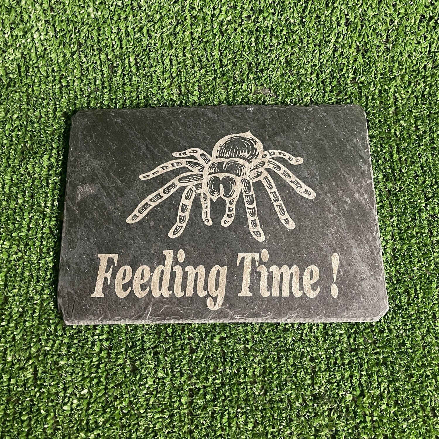 Tarantula Feeding Slate Plate