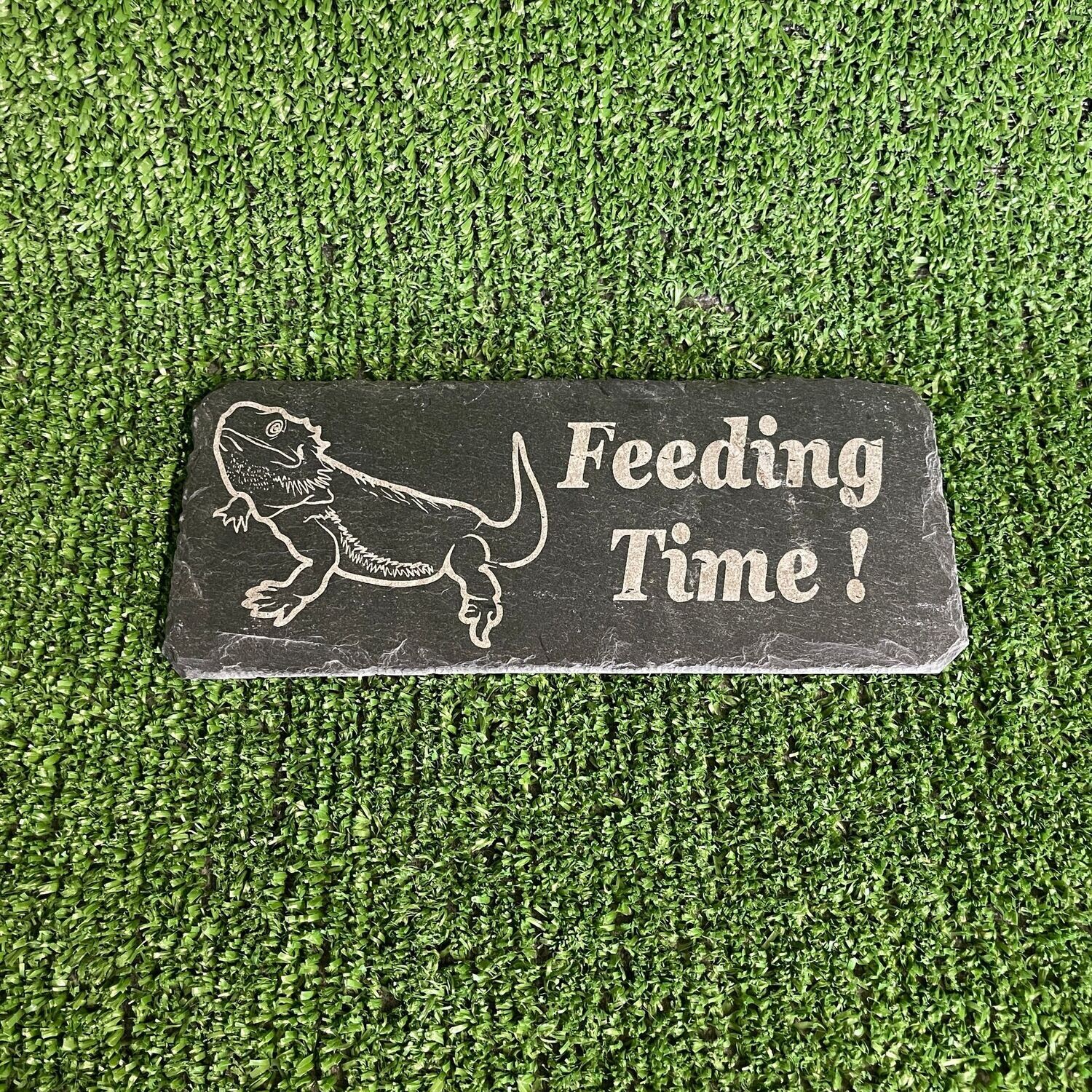 BEARDED DRAGON Feeding slate