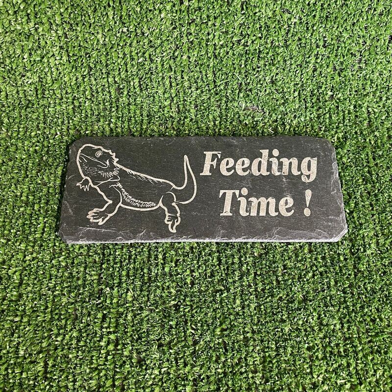 BEARDED DRAGON Feeding slate