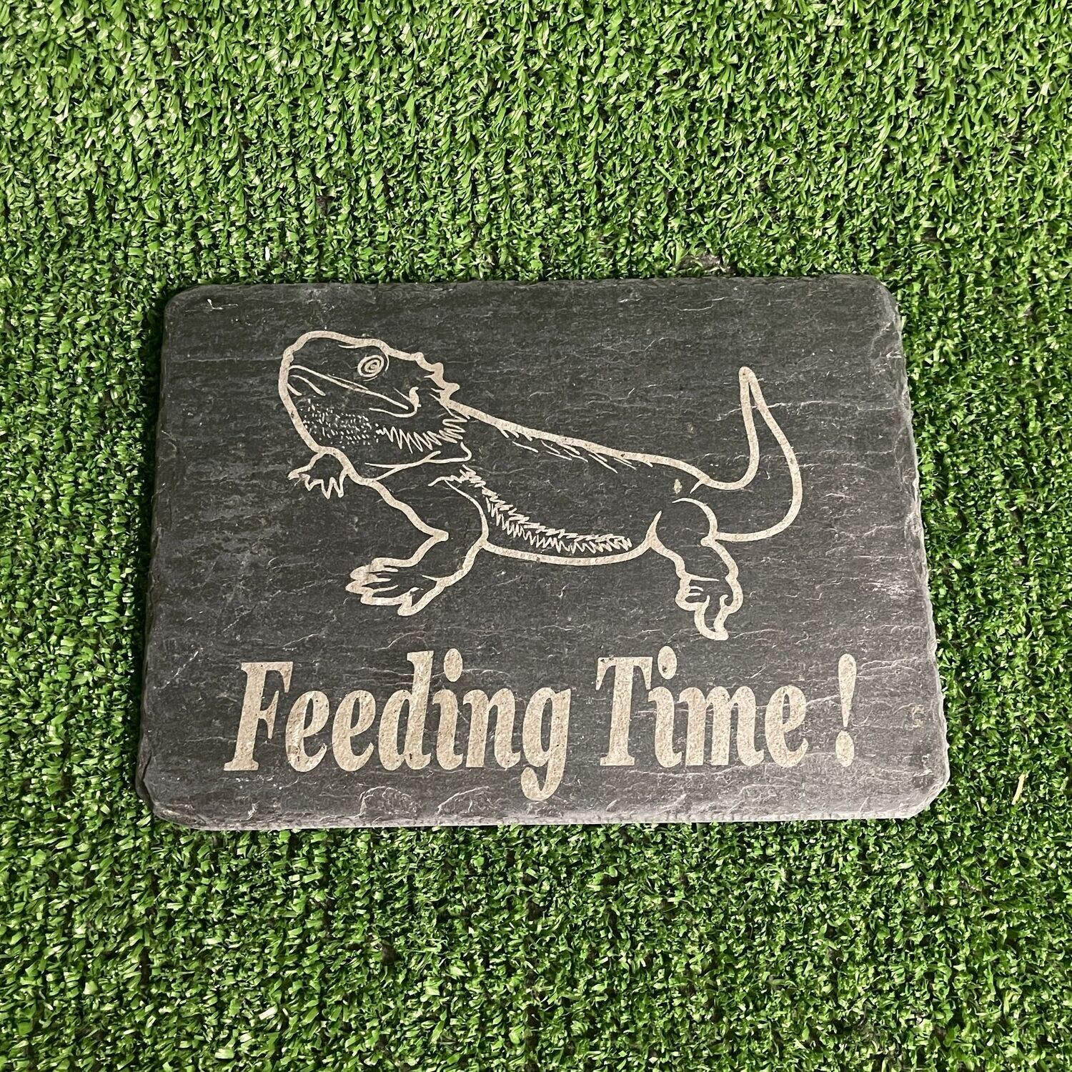 Bearded Dragon Feeding Slate Plate