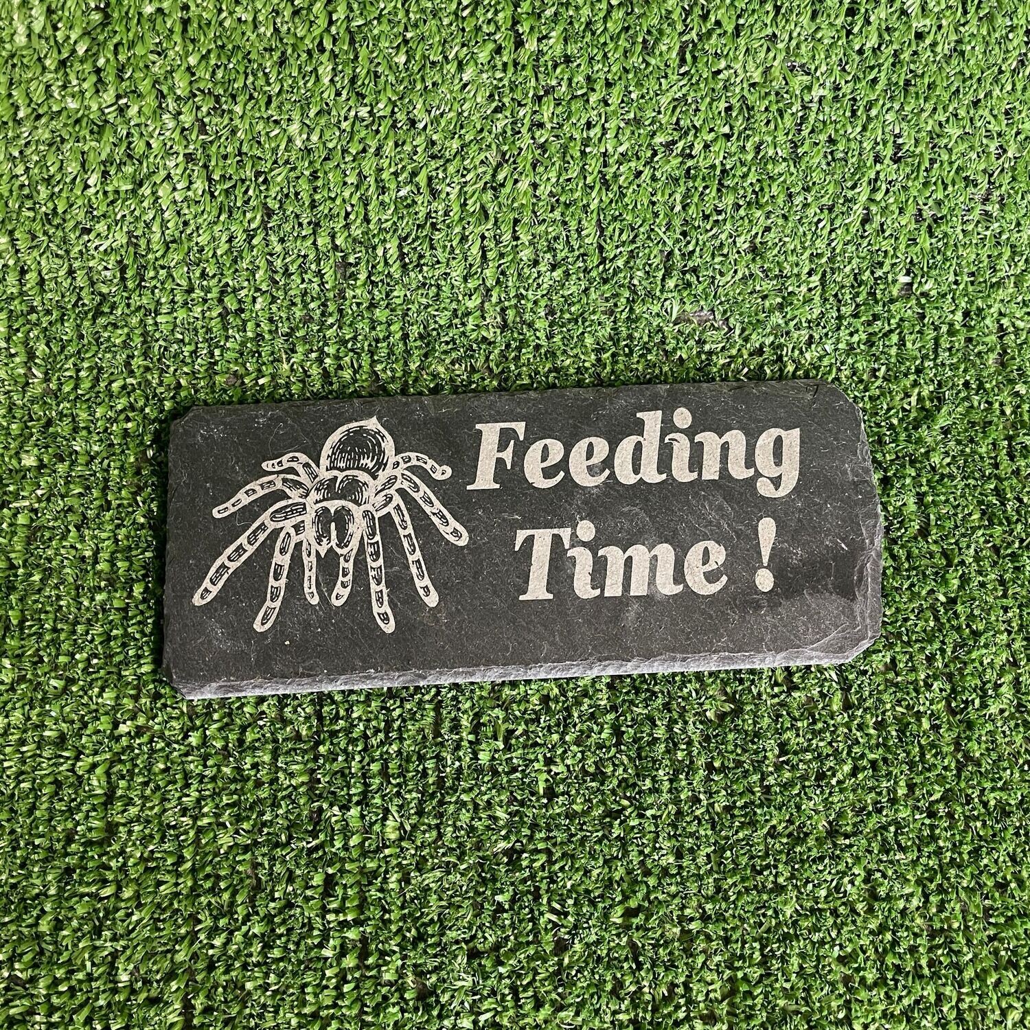 TARANTULA Feeding slate