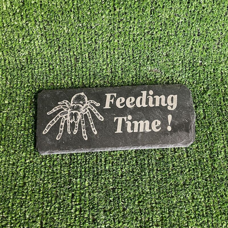 TARANTULA Feeding slate