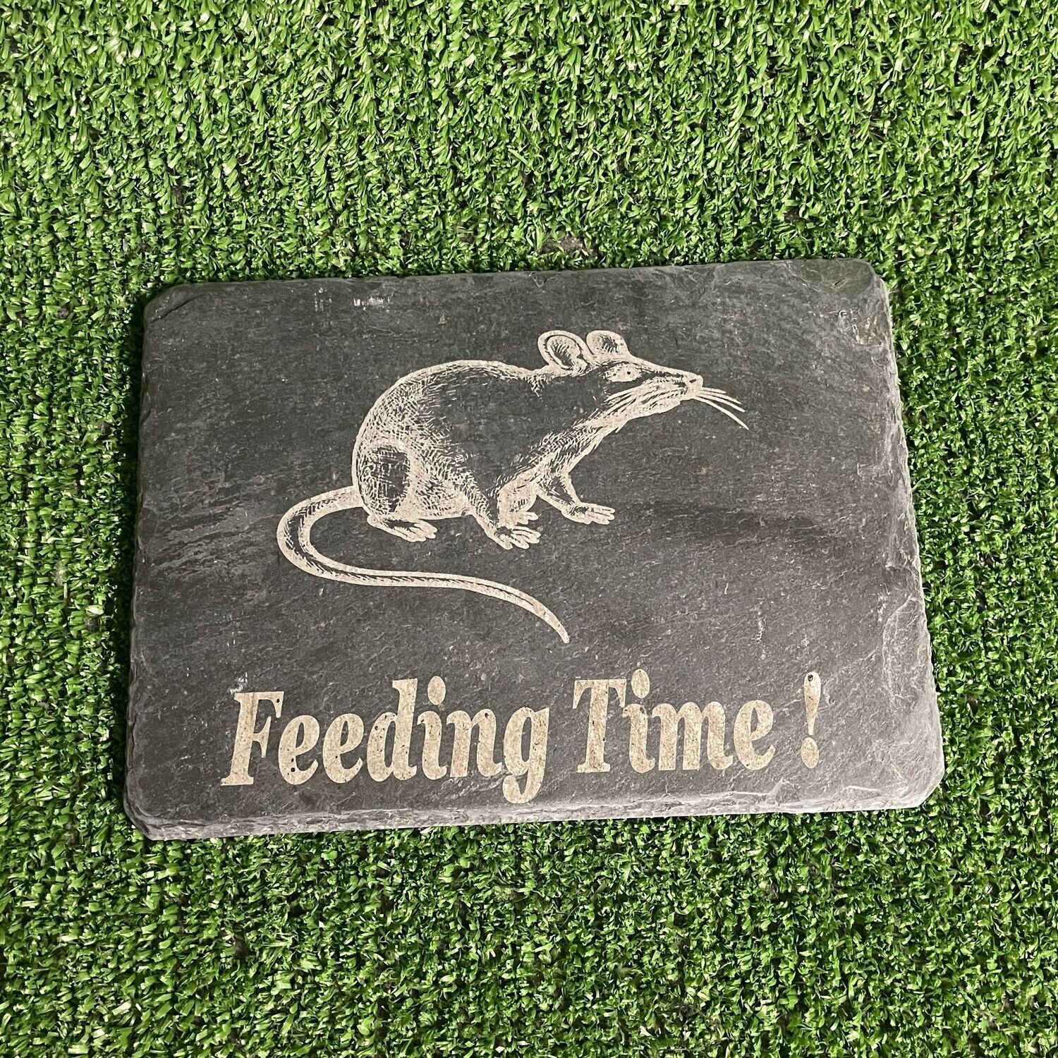 Rat Slate feeding Plate