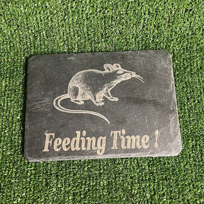 Rat Slate feeding Plate