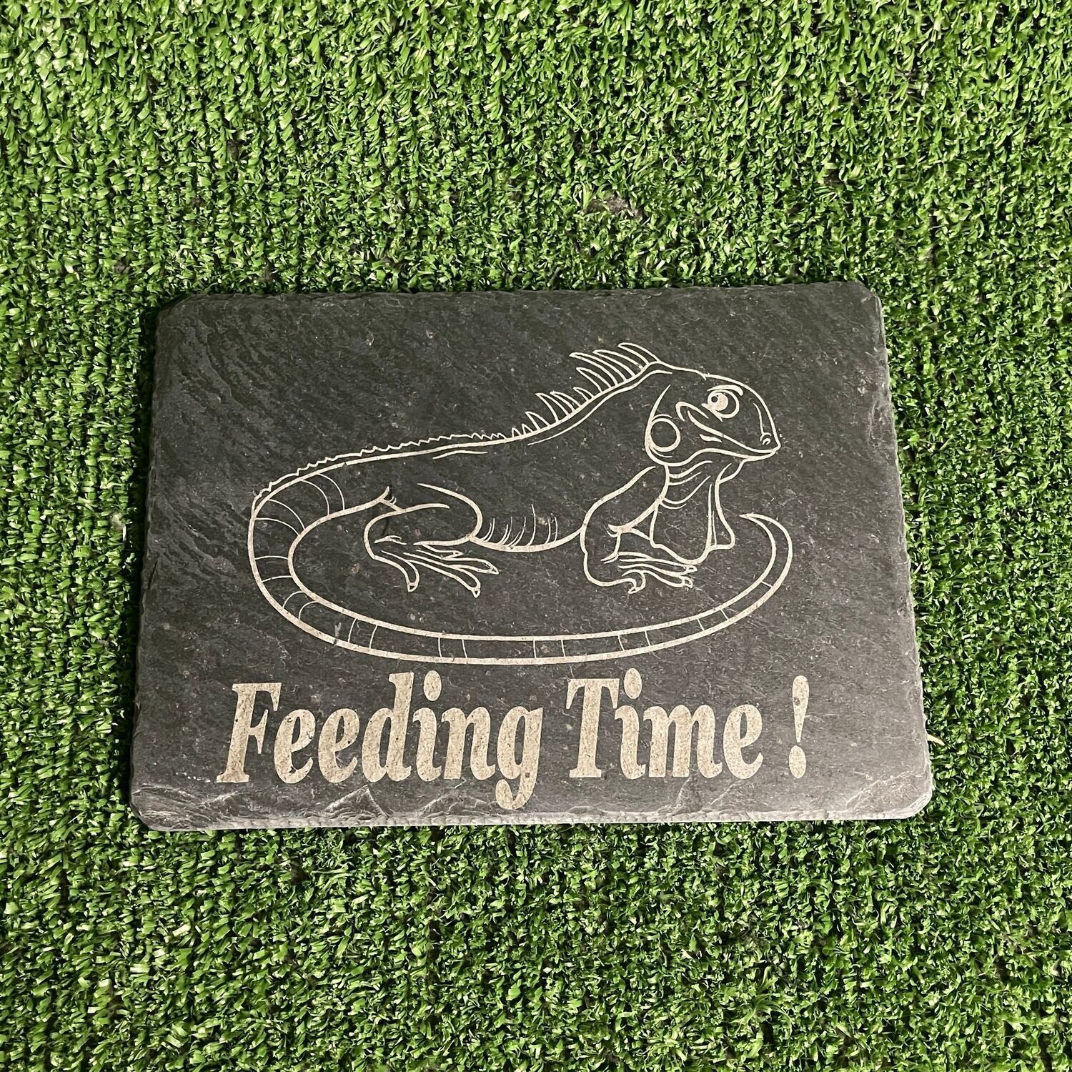 Iguana Slate Feeding Plate