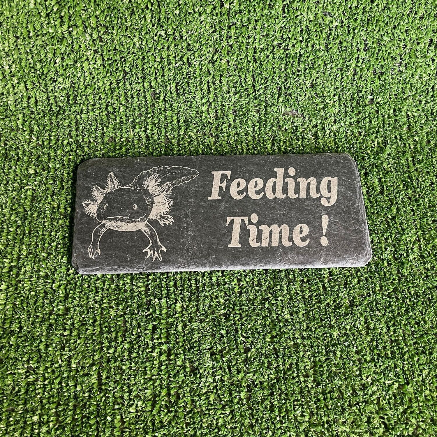 AXOLOTL Feeding slate