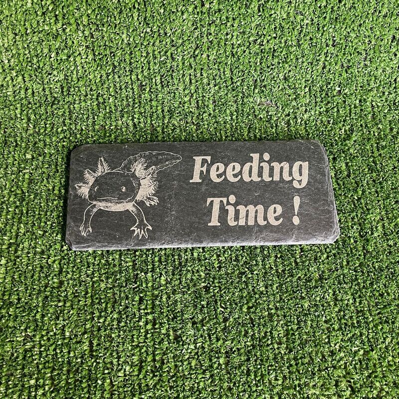 AXOLOTL Feeding slate