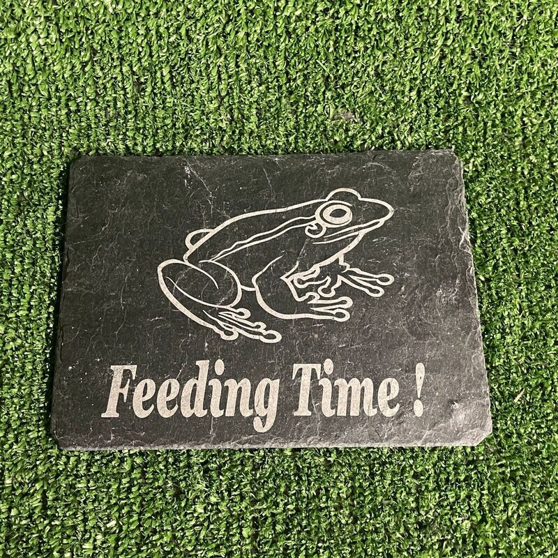 Frog Feeding Plate
