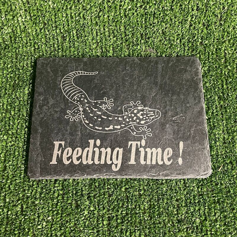 Gecko Feeding Slate Plate