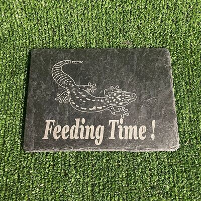 Gecko Feeding Slate Plate Gecko Feeding Slate Plate
