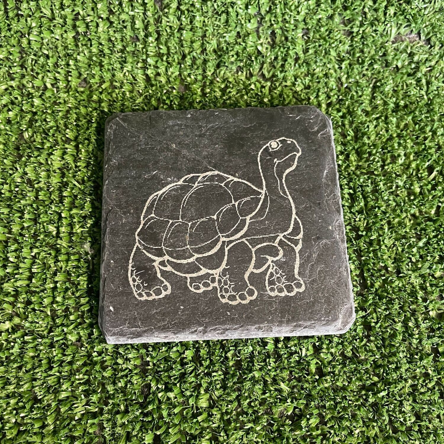TORTOISE Feeding slate