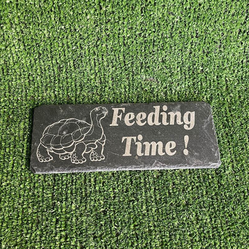 TORTOISE Feeding slate