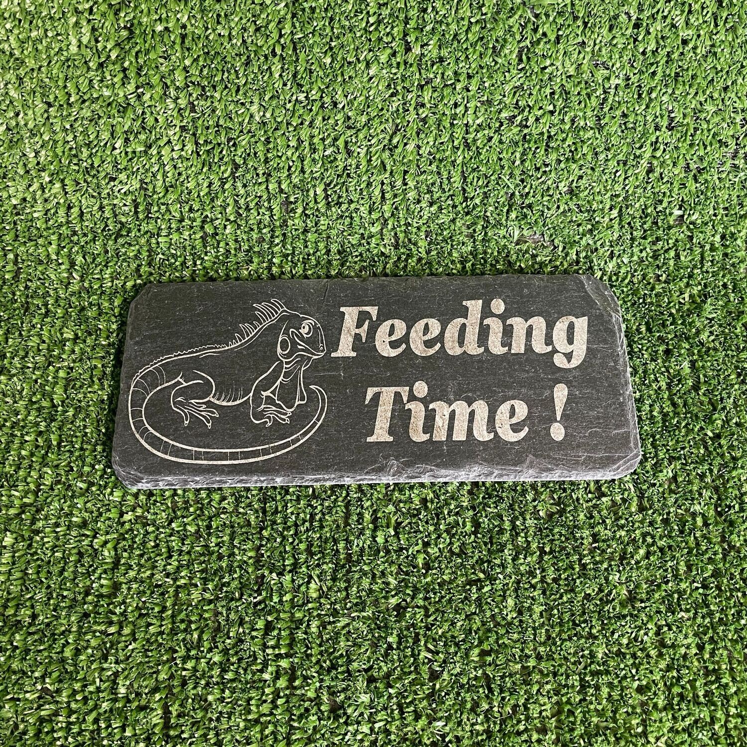 IGUANA Feeding slate