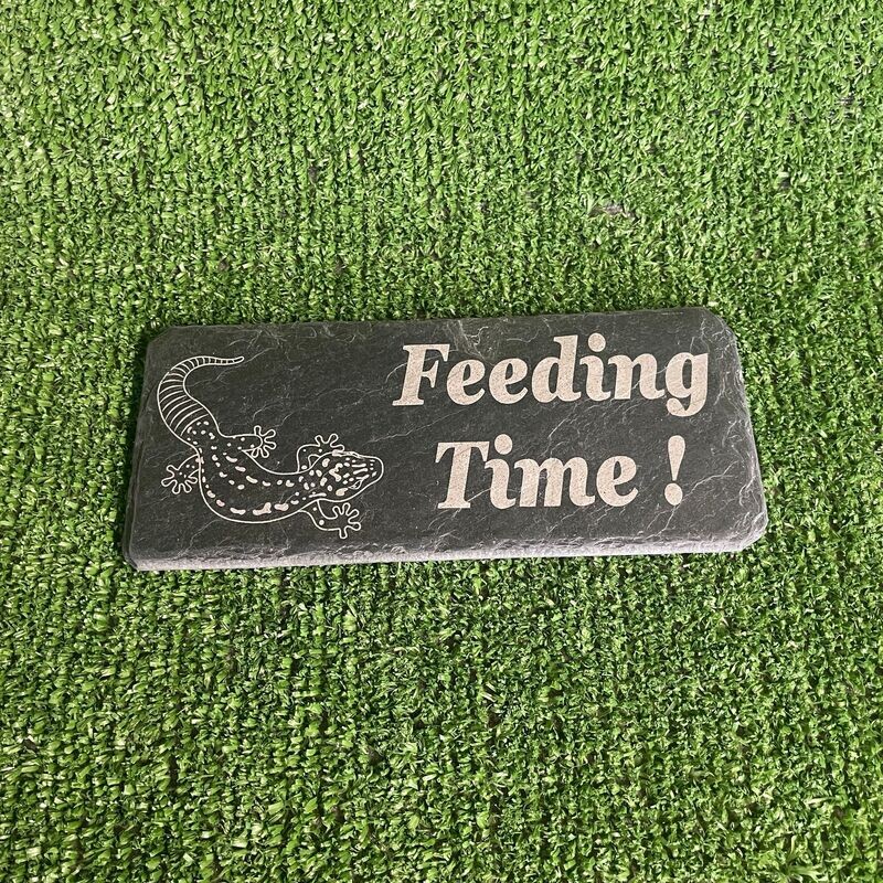 GECKO Feeding slate