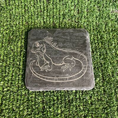 IGUANA Feeding slate