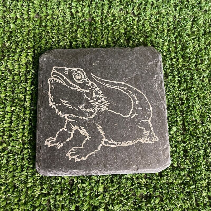 BEARDED DRAGON Feeding Slate