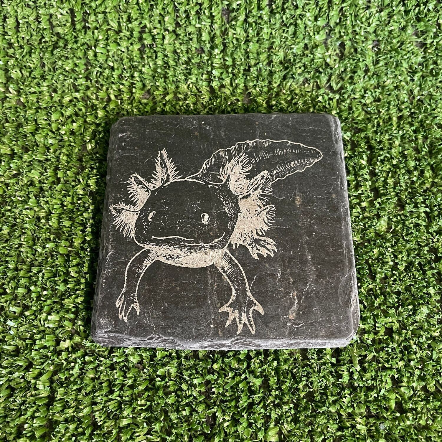 AXOLOTL Feeding slate