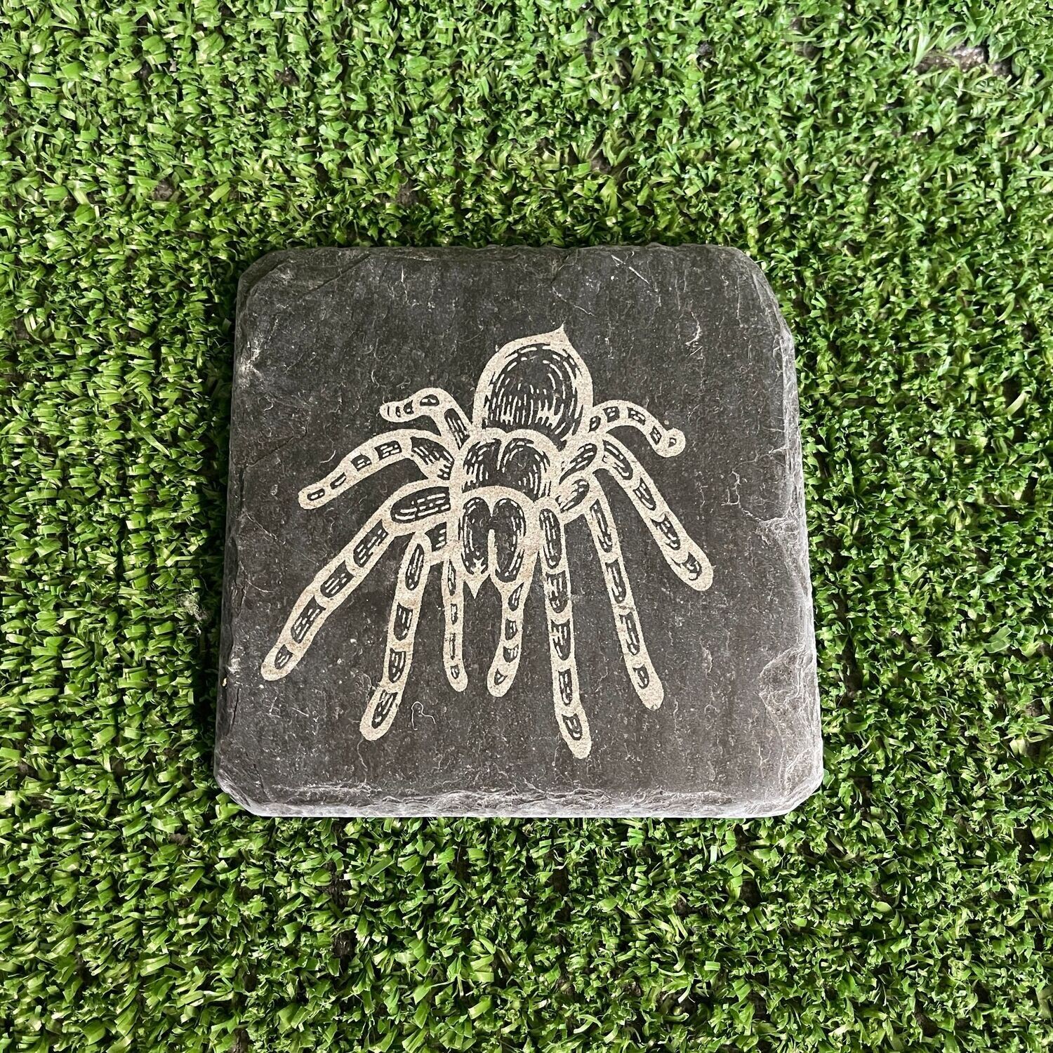 TARANTULA Feeding Slate