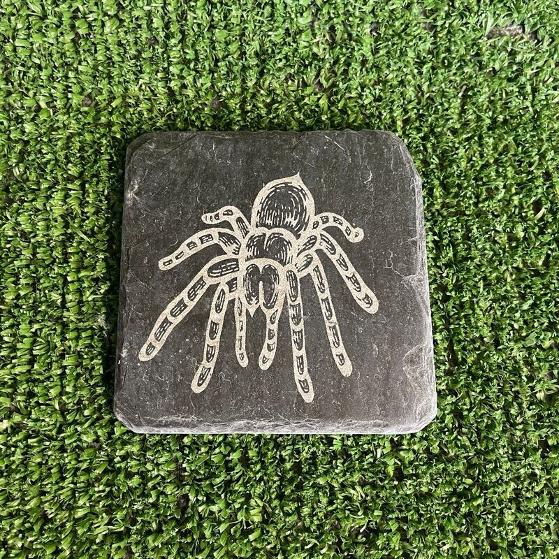 TARANTULA Feeding Slate