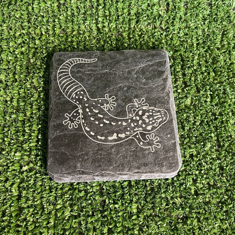 GECKO Feeding slate