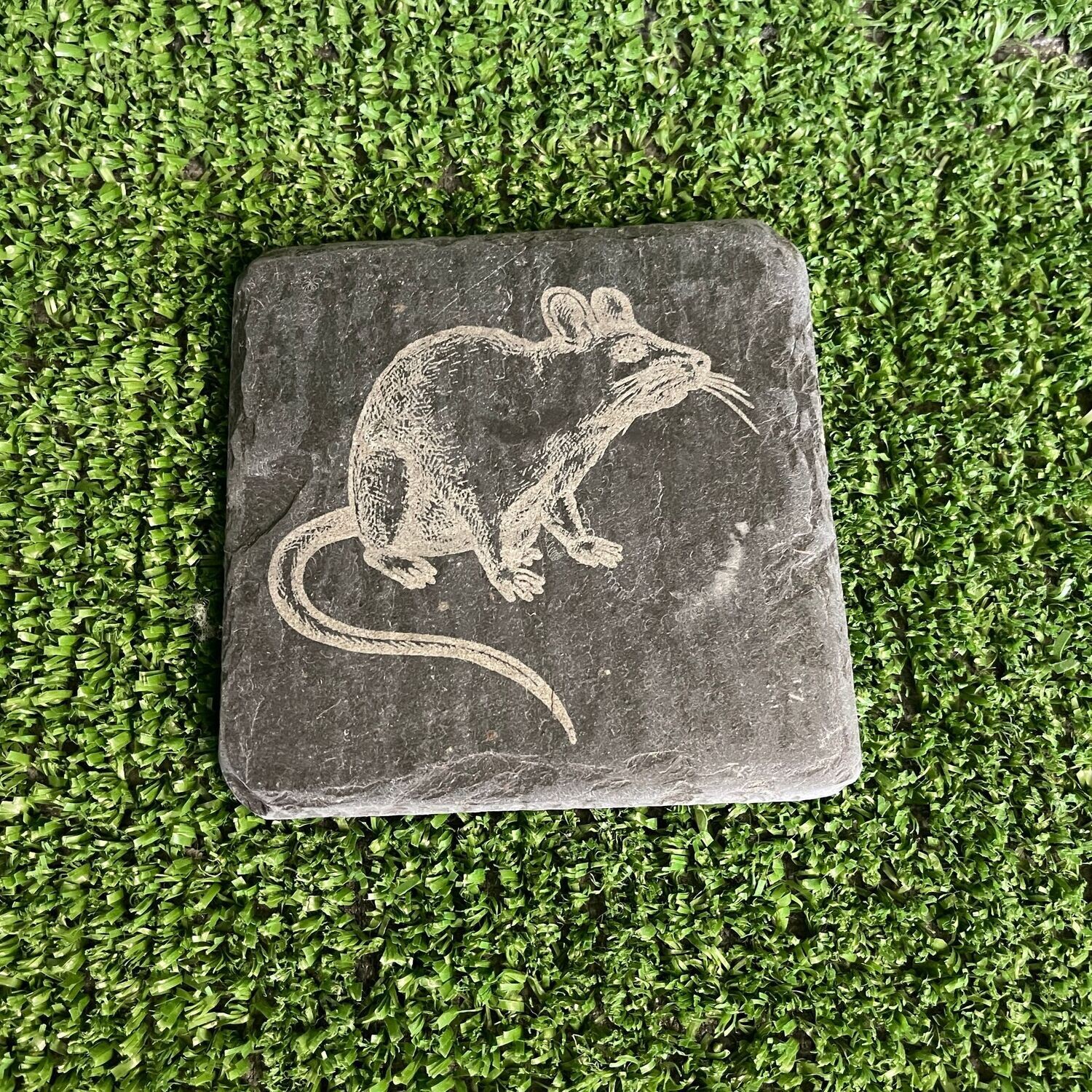 RAT Feeding slate