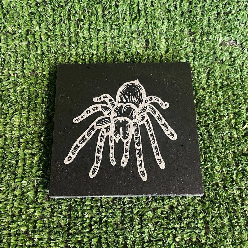 Tarantula Spider Slate Coaster