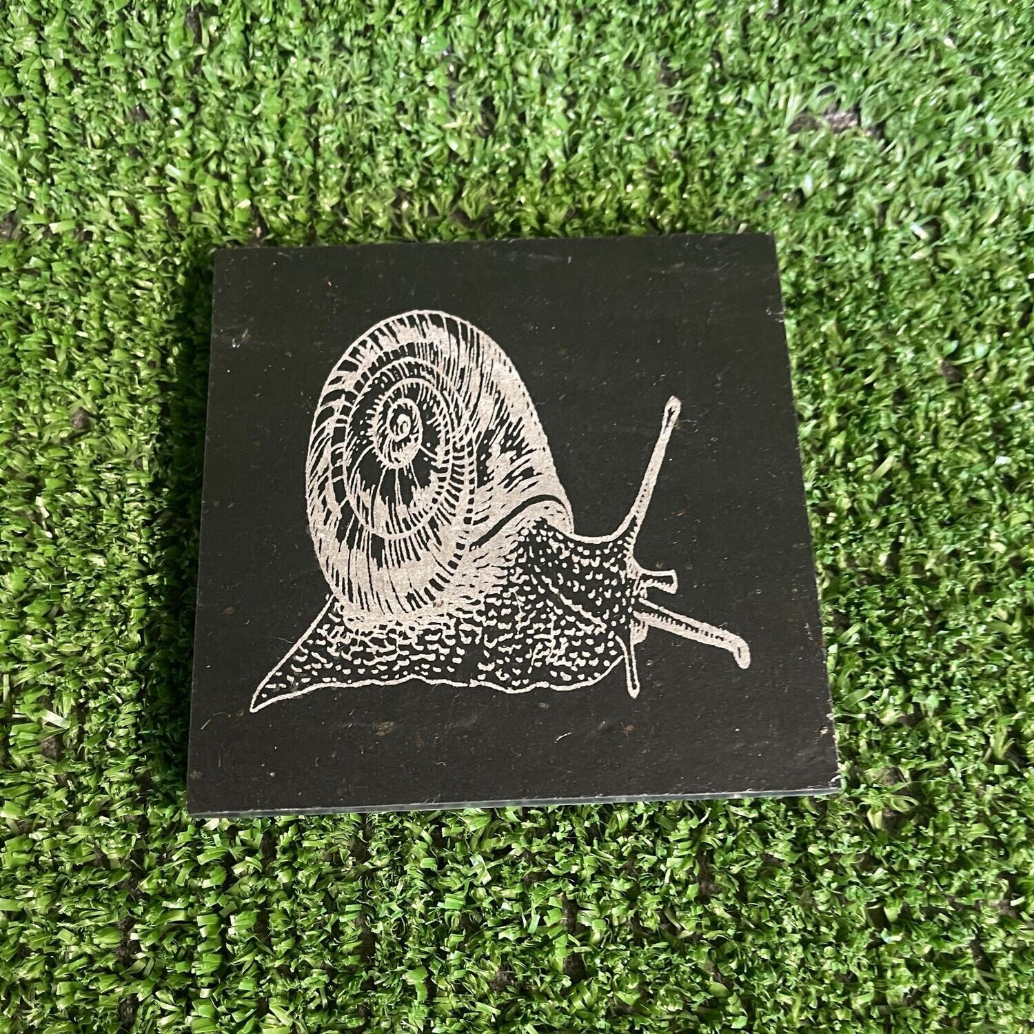 Snail slate coaster