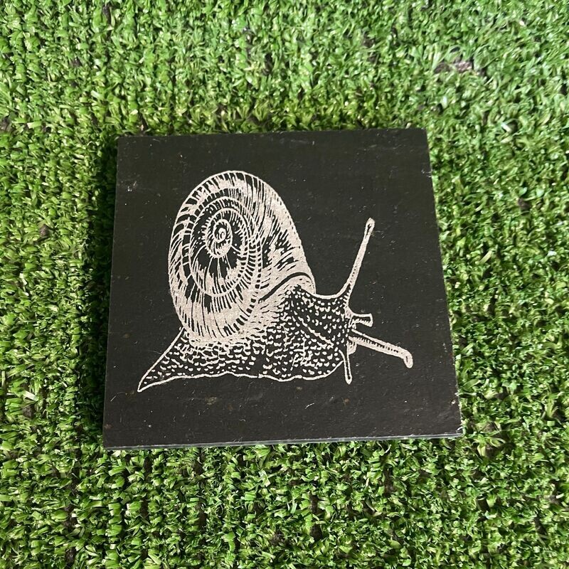 Snail slate coaster
