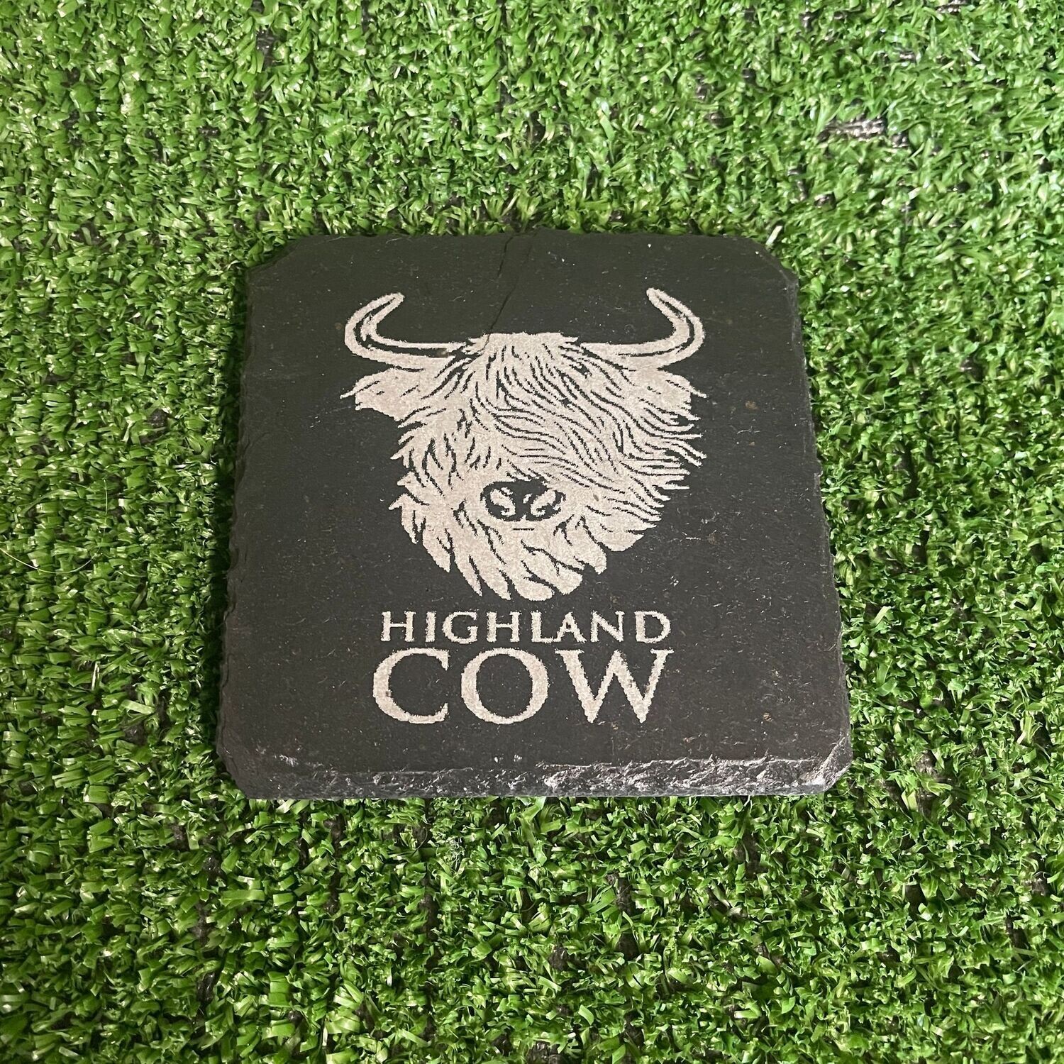 Highland Cow