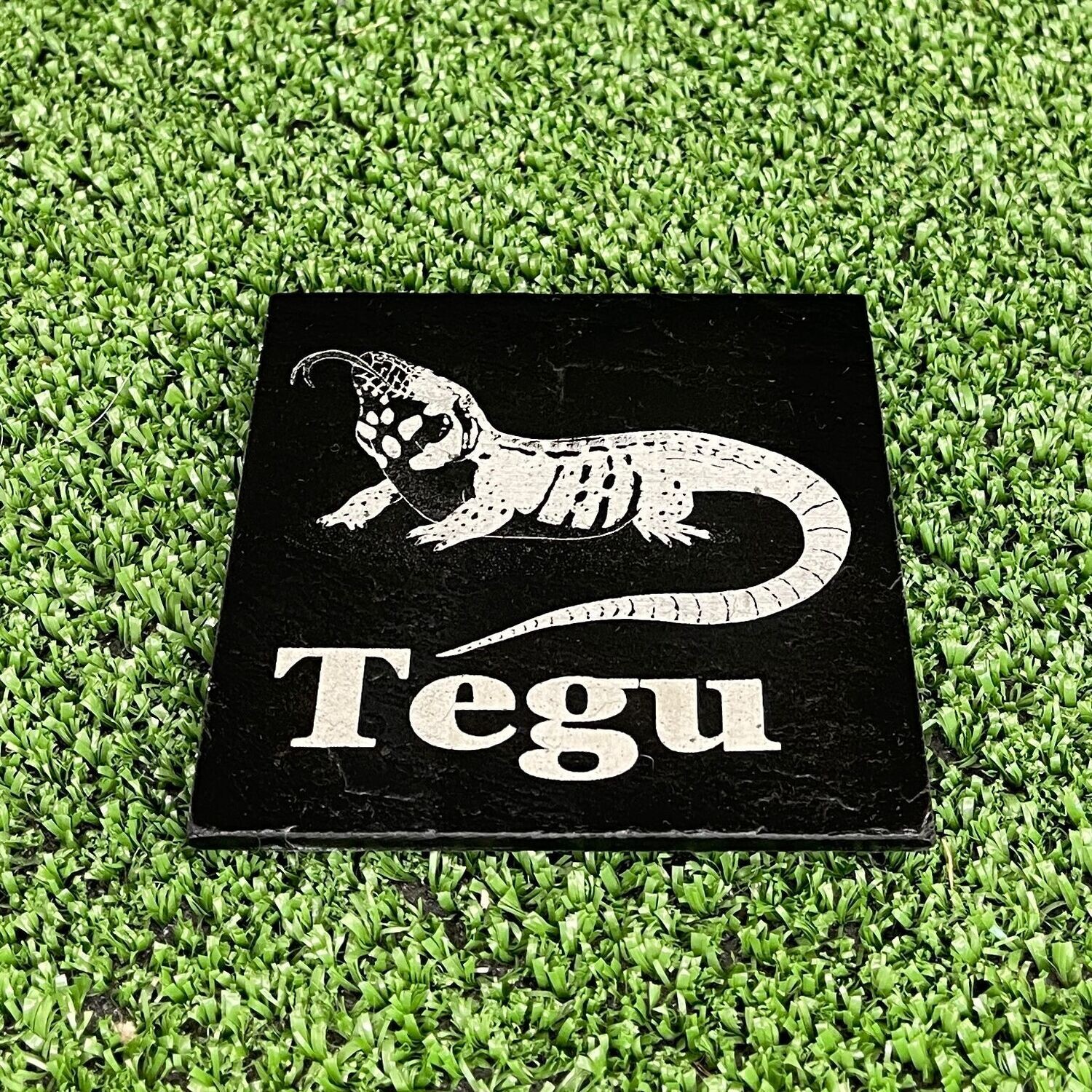 Tegu Reptile Slate Coaster