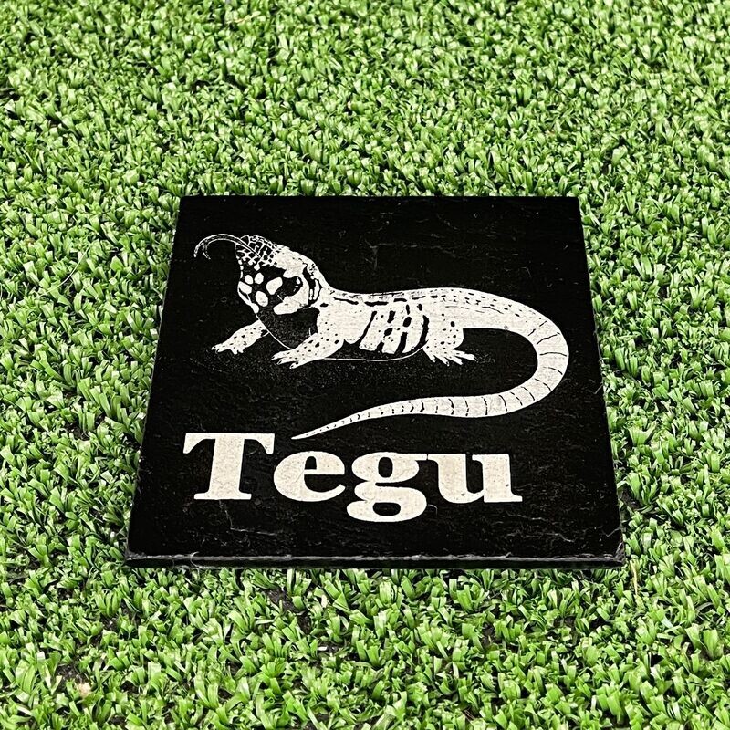 Tegu Reptile Slate Coaster
