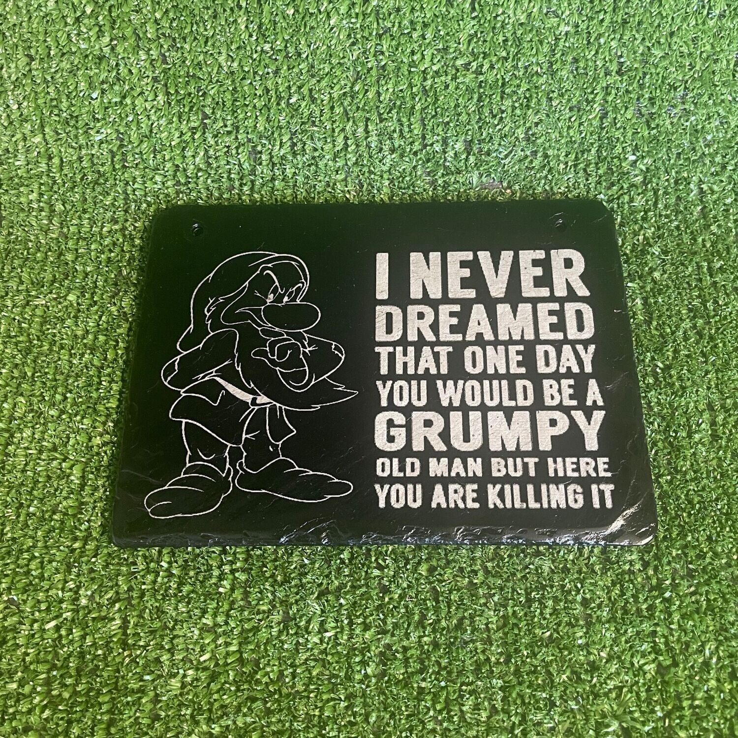 Never Dreamed Grumpy Slate sign
