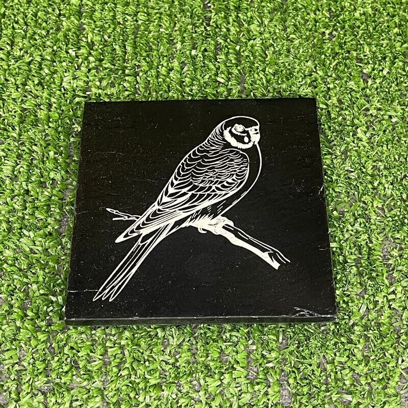 Budgie Bird Slate Coaster