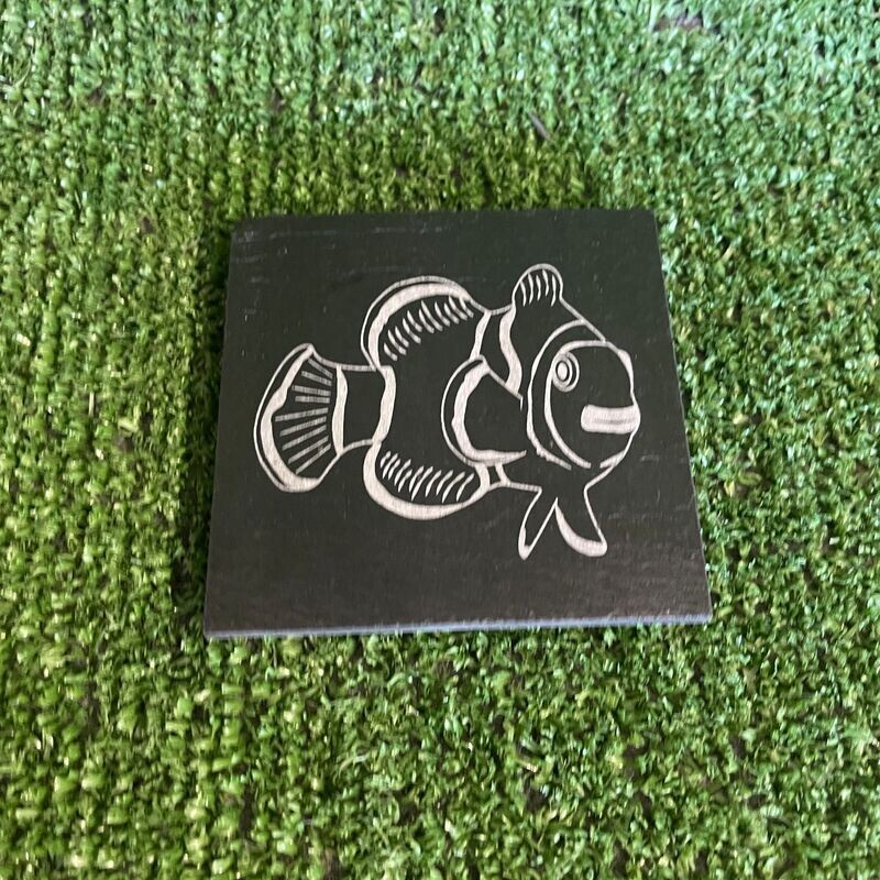 Clown Fish Slate Coaster